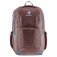 Deuter Rucksack Cotogy ashrose-ink