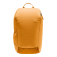 Deuter Rucksack Stepout 16 amber-maple