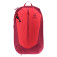 Deuter AC Lite 17 cherry-masala